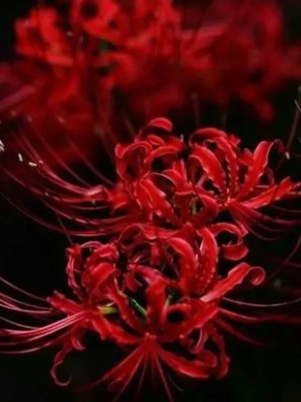 Bạn Gái Của Ta Là Yêu Ma Quỷ Quái