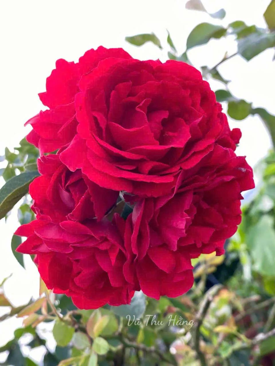 Chệch Quỹ Đạo