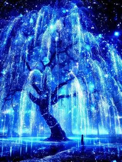 Cô Nương, cô nhận nhầm người rồi!