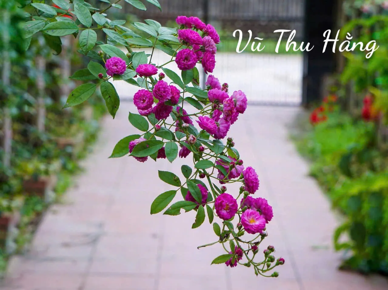 Dành Trọn Phần Đời Còn Lại Ở Bên Nhau