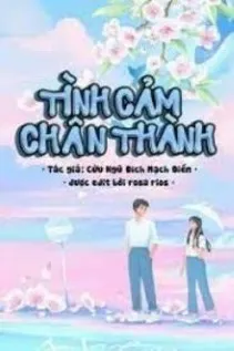 Tình Cảm Chân Thành