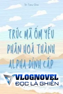 Trúc Mã Ốm Yếu Của Tôi Phân Hoá Thành Alpha Đỉnh Cấp
